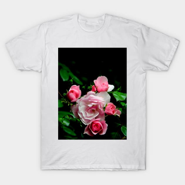 Rose Group, Garden Pink Flowers Macro Photo T-Shirt by JonDelorme